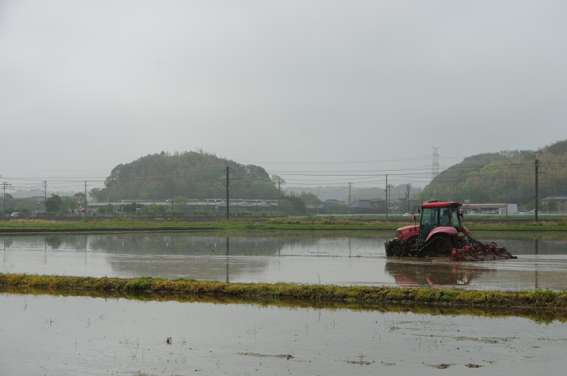 平年収量は536㎏ 北海道、茨城で増加傾向　水稲作柄委員会